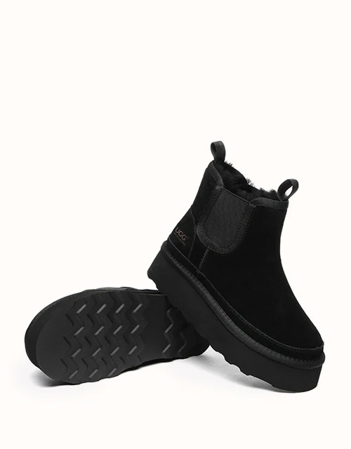 AUSTRALIAN SHEPHERD? Chelsie Platform