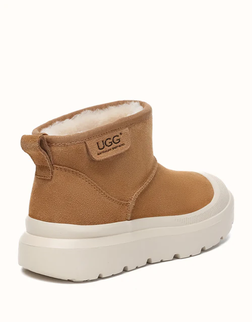 AUSTRALIAN SHEPHERD? Harrison