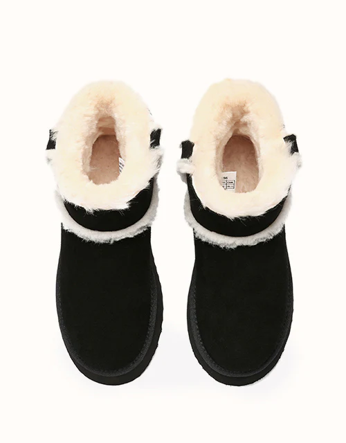 EVERAU? Schunck Platform