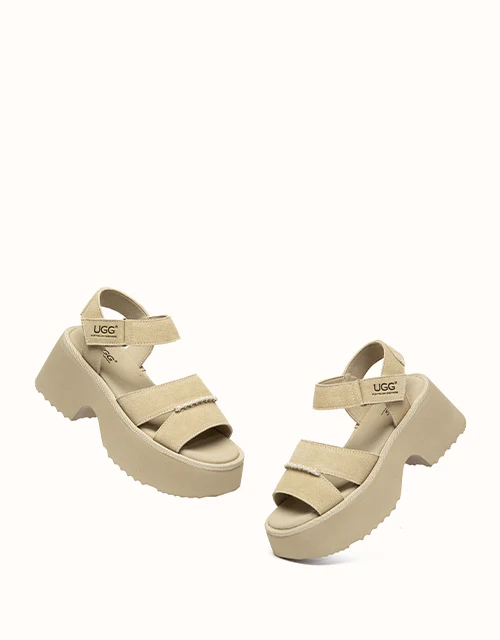 Australian Shepherd® Eive