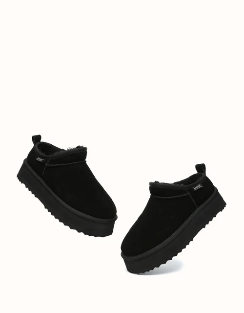 AUSTRALIAN SHEPHERD? Nano Classic Platform