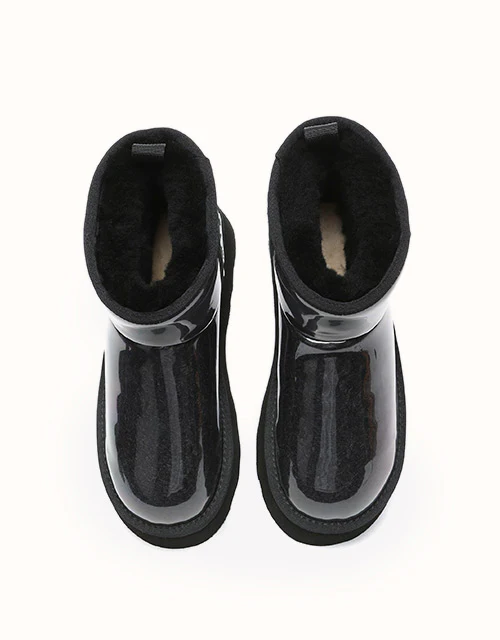 AUSTRALIAN SHEPHERD? Coated Classic Platform