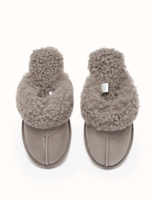 AUSTRALIAN SHEPHERD® Waffle Curly