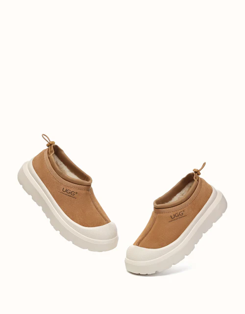 AUSTRALIAN SHEPHERD® Harlow