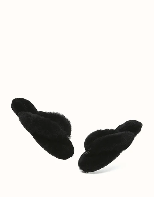 AUSTRALIAN SHEPHERD® Farah