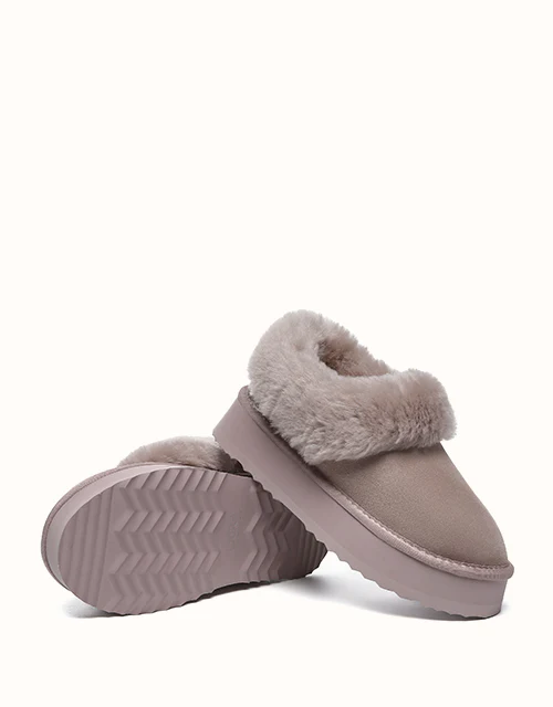 AUSTRALIAN SHEPHERD? Clarrie Platform