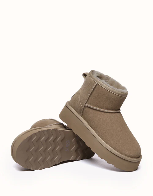 AUSTRALIAN SHEPHERD? Rommie Platform