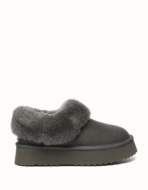 AUSTRALIAN SHEPHERD? Clarrie Platform