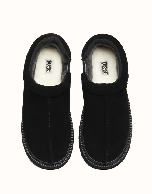 AUSTRALIAN SHEPHERD® Axton