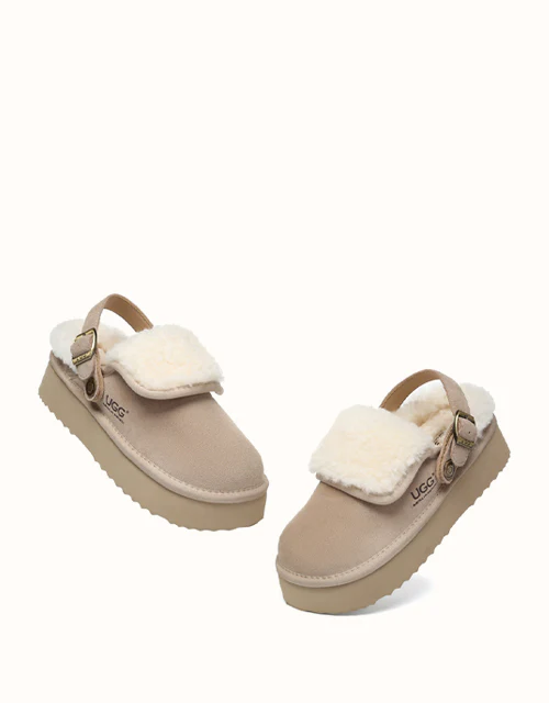 AUSTRALIAN SHEPHERD? Tenley Platform