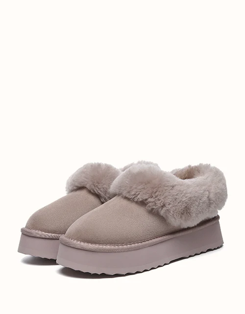 AUSTRALIAN SHEPHERD? Clarrie Platform