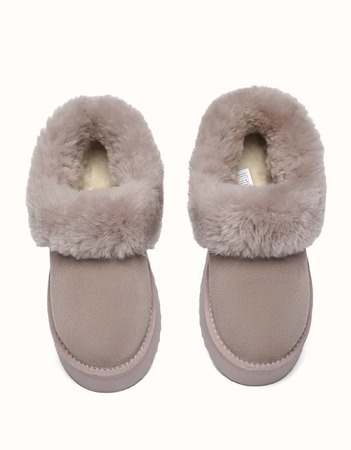 AUSTRALIAN SHEPHERD? Clarrie Platform