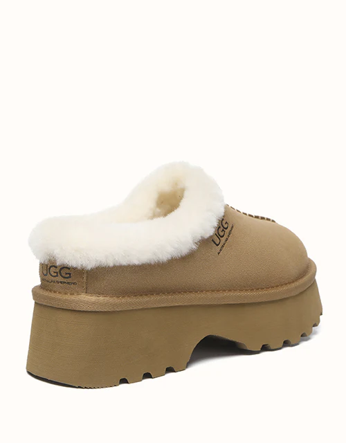 AUSTRALIAN SHEPHERD? Adrian