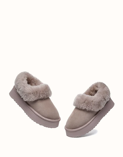 AUSTRALIAN SHEPHERD? Clarrie Platform