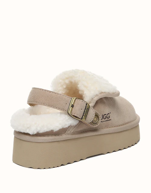 AUSTRALIAN SHEPHERD? Tenley Platform