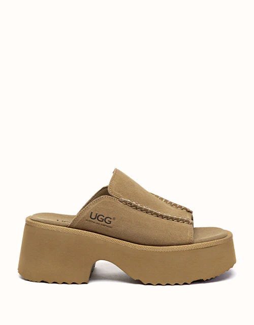 Australian Shepherd? Haive