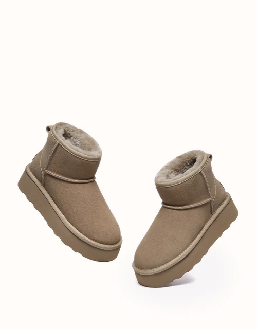 AUSTRALIAN SHEPHERD? Rommie Platform