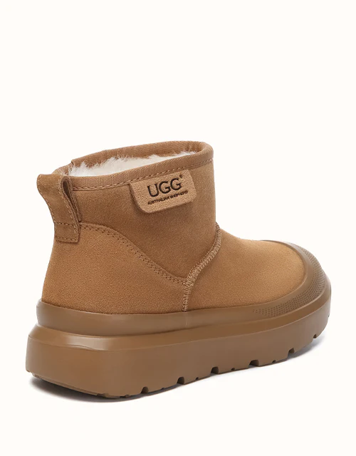 AUSTRALIAN SHEPHERD? Harrison