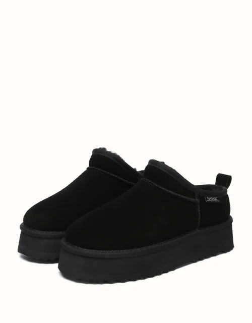 AUSTRALIAN SHEPHERD? Nano Classic Platform