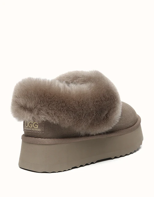 AUSTRALIAN SHEPHERD? Clarrie Platform