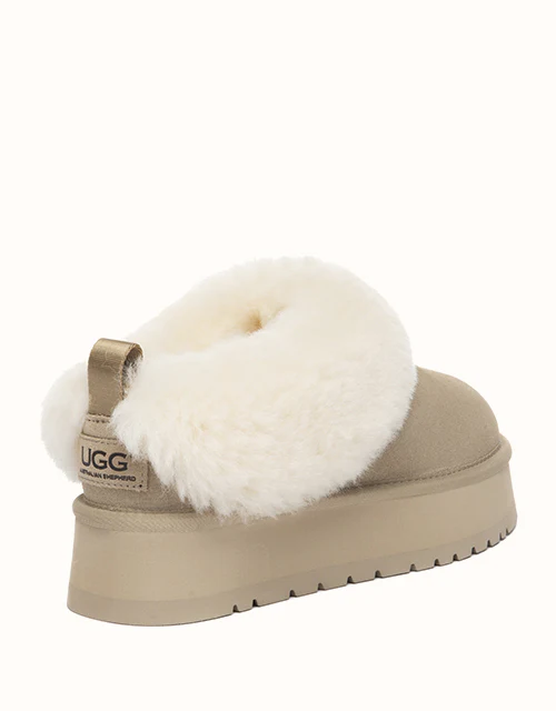 AUSTRALIAN SHEPHERD® Glacial