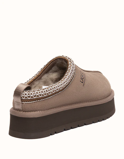 AUSTRALIAN SHEPHERD? Tay Platform Muti-Colour