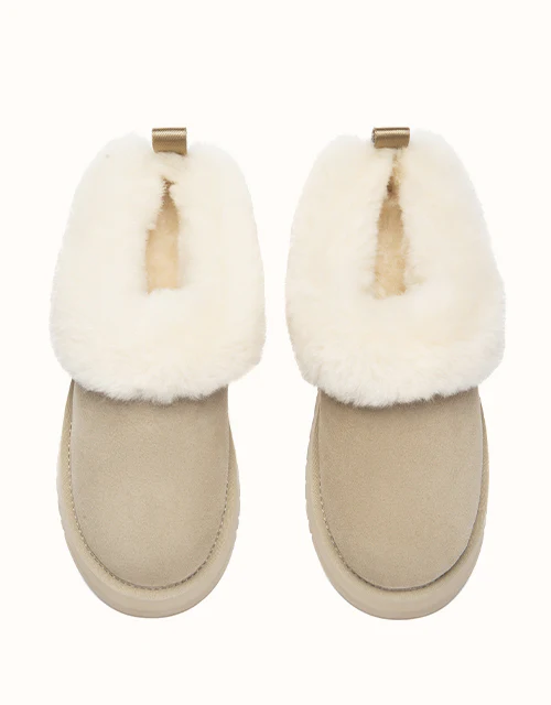 AUSTRALIAN SHEPHERD® Glacial