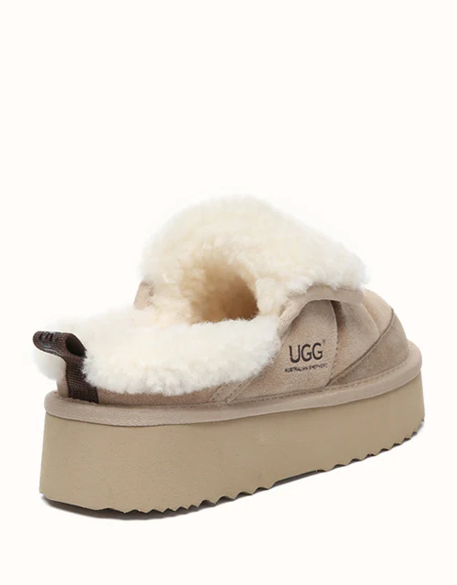 AUSTRALIAN SHEPHERD? Theia Platform