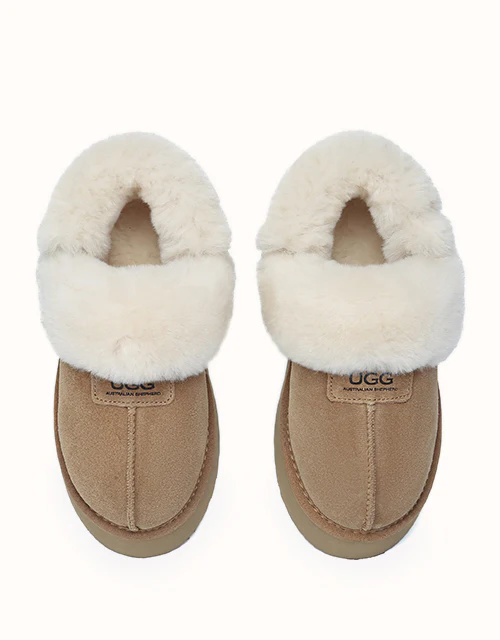 AUSTRALIAN SHEPHERD® Suzie Platform