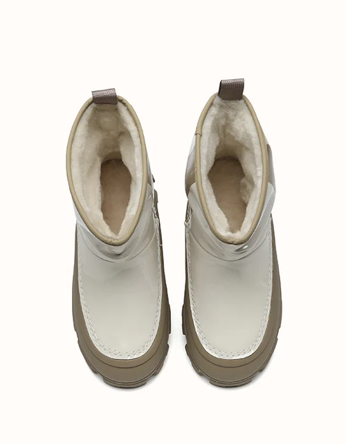 AUSTRALIAN SHEPHERD? Wren