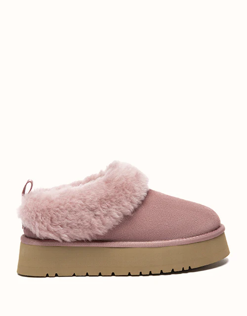 AUSTRALIAN SHEPHERD® Glacial