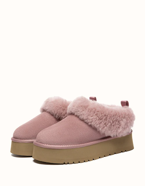 AUSTRALIAN SHEPHERD® Glacial