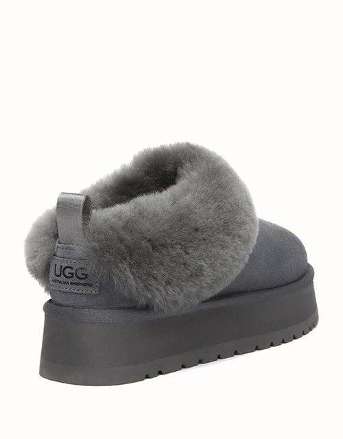 AUSTRALIAN SHEPHERD® Glacial