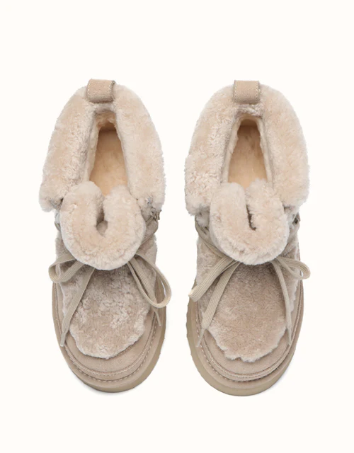 AUSTRALIAN SHEPHERD? Bumpy