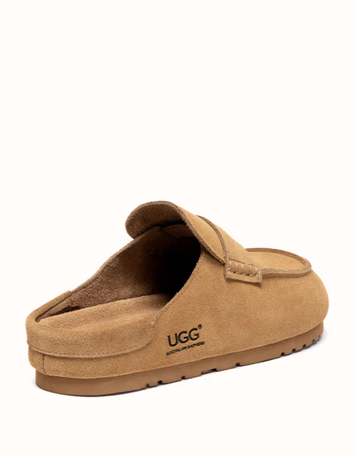 AUSTRALIAN SHEPHERD? Casten