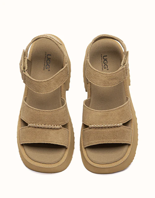 Australian Shepherd® Eive