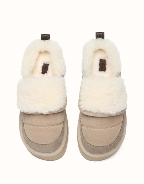 AUSTRALIAN SHEPHERD? Theia Platform