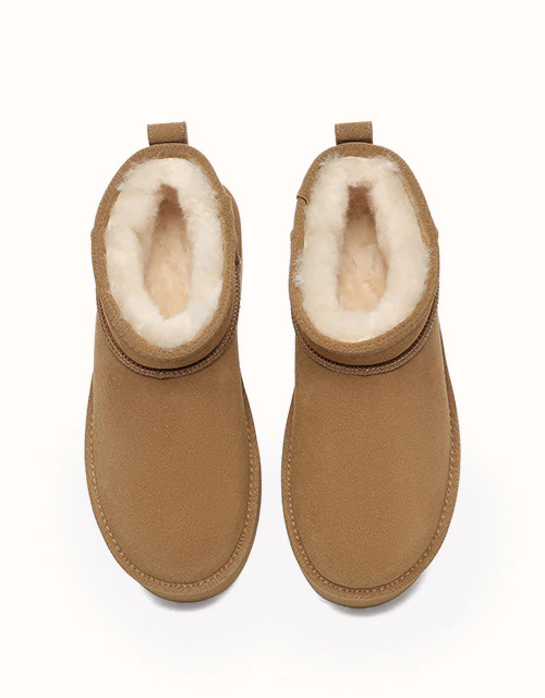 AUSTRALIAN SHEPHERD? Saylor Ultra Platform