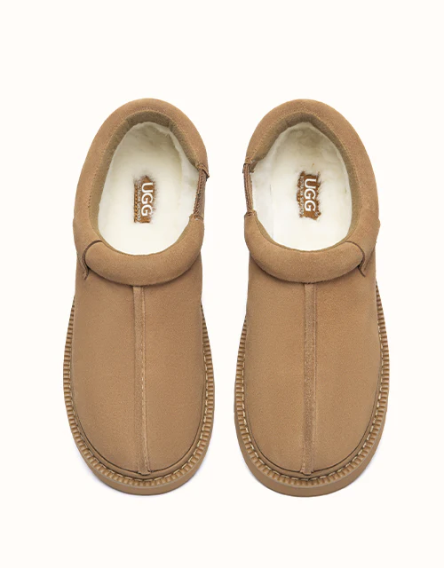 AUSTRALIAN SHEPHERD® Axton