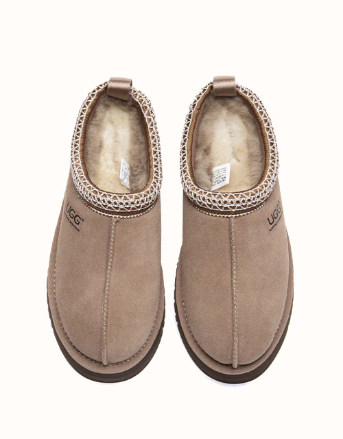 AUSTRALIAN SHEPHERD? Tay Platform Muti-Colour