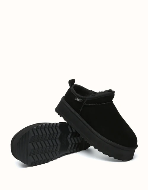 AUSTRALIAN SHEPHERD? Nano Classic Platform