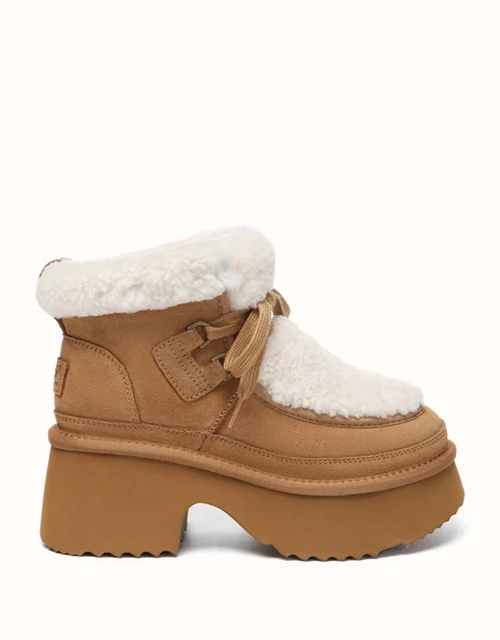 AUSTRALIAN SHEPHERD? Bumpy