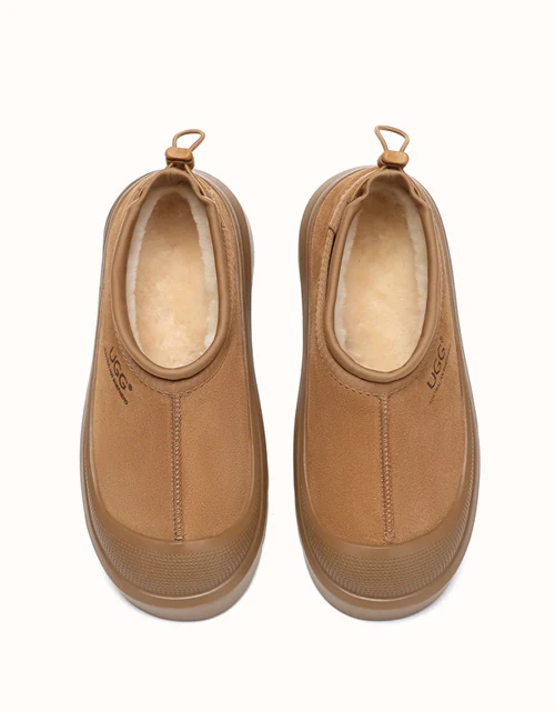 AUSTRALIAN SHEPHERD® Harlow