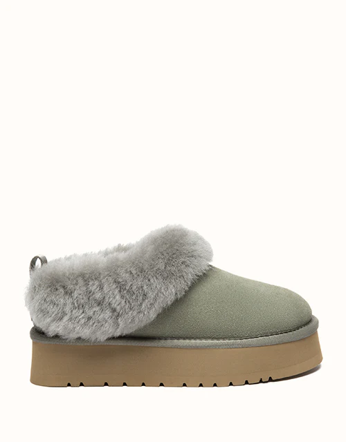 AUSTRALIAN SHEPHERD® Glacial