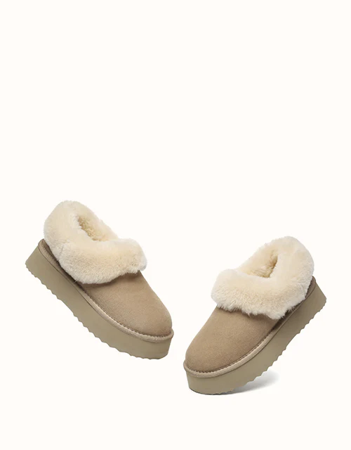 AUSTRALIAN SHEPHERD? Clarrie Platform