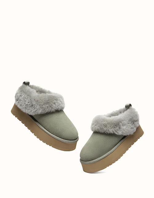 AUSTRALIAN SHEPHERD® Glacial