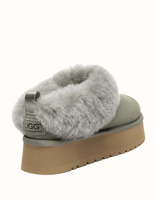 AUSTRALIAN SHEPHERD® Glacial