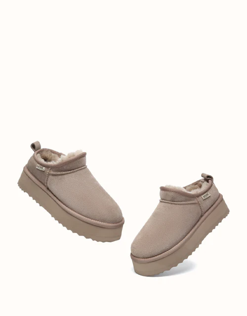 AUSTRALIAN SHEPHERD? Nano Classic Platform