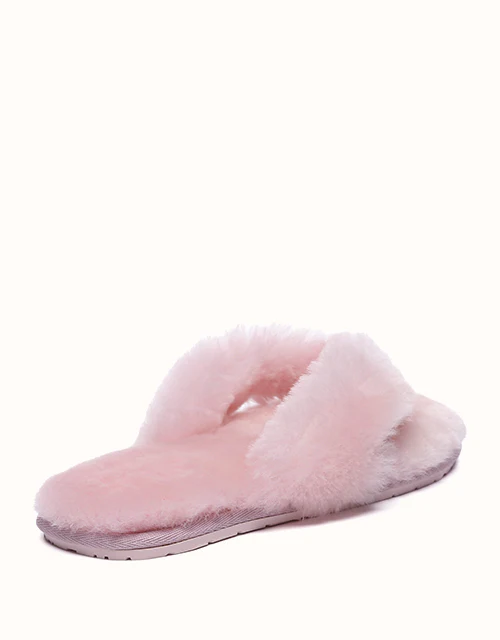 AUSTRALIAN SHEPHERD® Farah