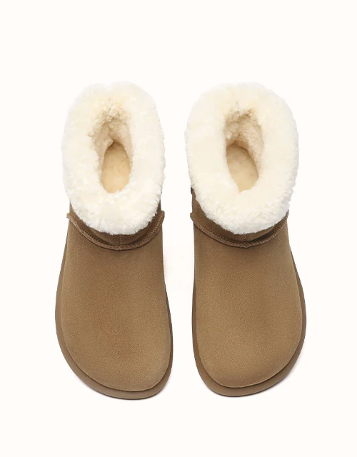 AUSTRALIAN SHEPHERD® Mignow